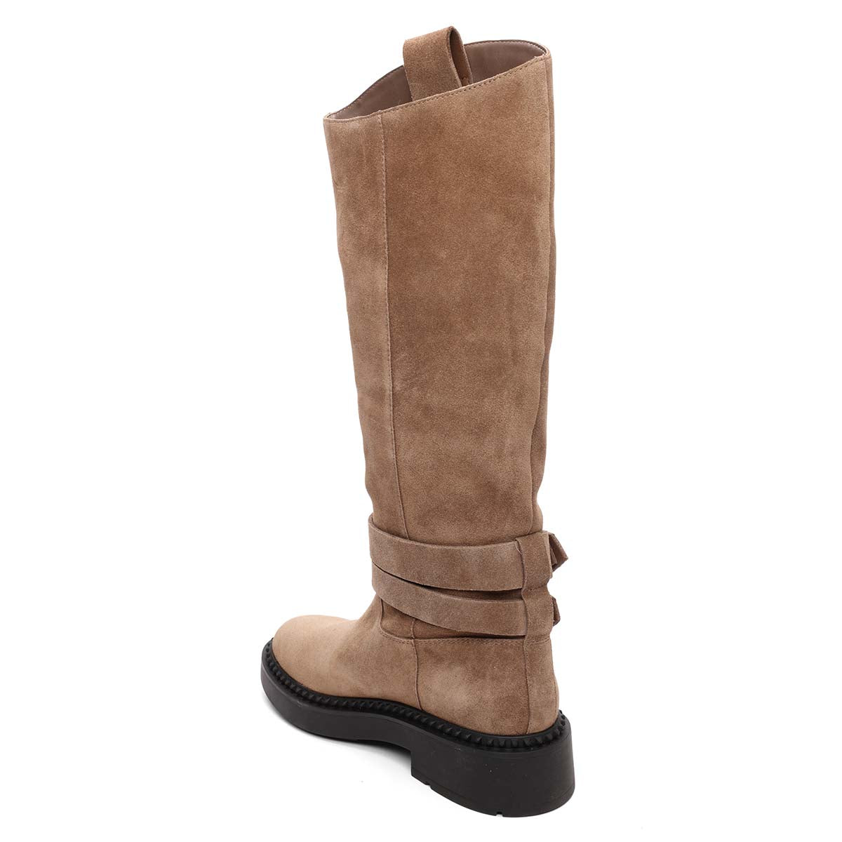 AS-MARLIN-Fandango-Back-Side-View