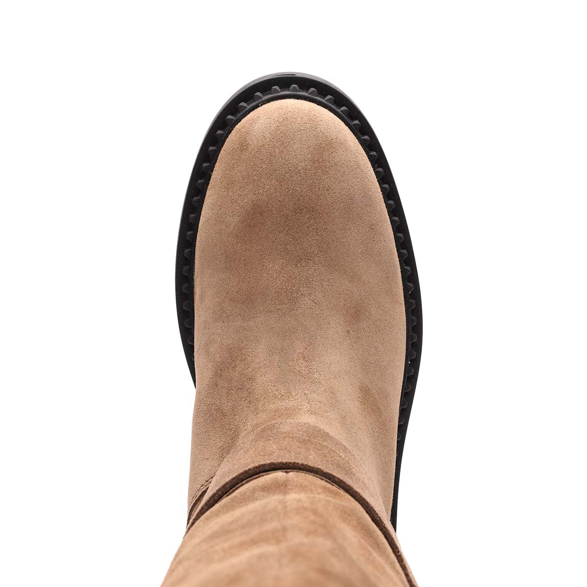 AS-MARLIN-Fandango-Top-View